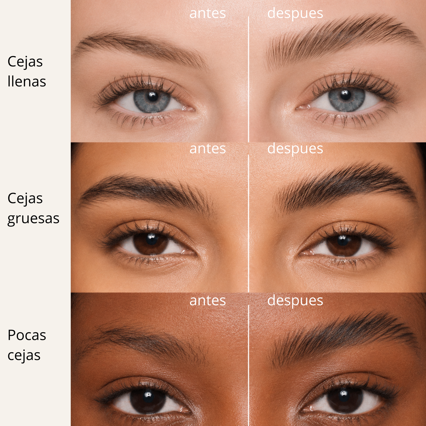 Ceraflex.. fijador de cejas