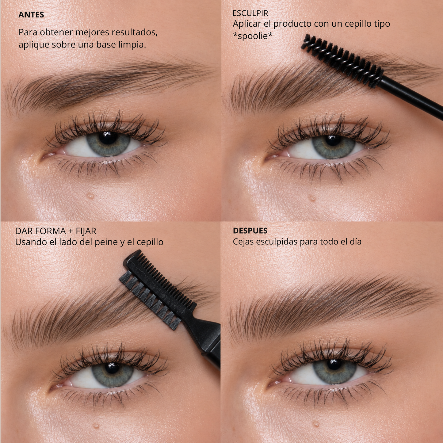 Ceraflex.. fijador de cejas